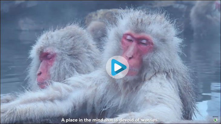 This David Attenborough-esque video is not a NatGeo clip but a Skoda ad