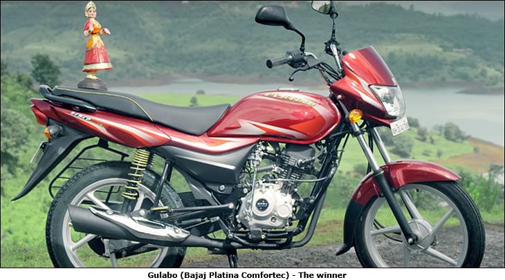 Paro gulabo shop platina price