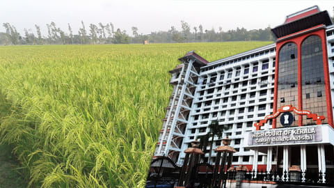Kerala high court, Kerala Conservation of Paddy & Wet Land Act