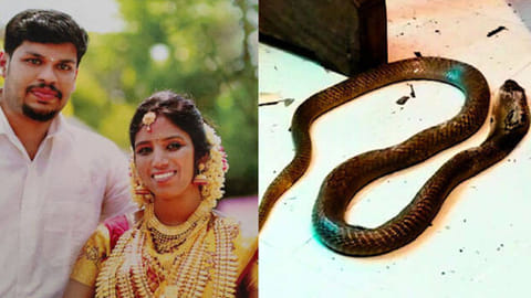 uthra case Kerala 