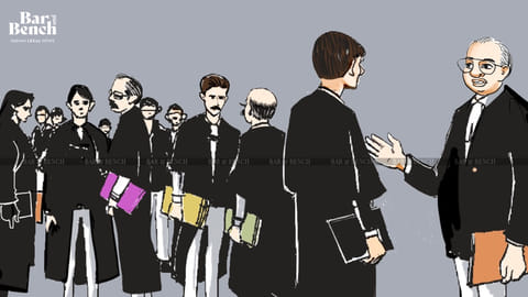 Lawyers