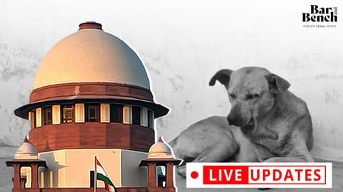 Supreme Court, Stray Dogs