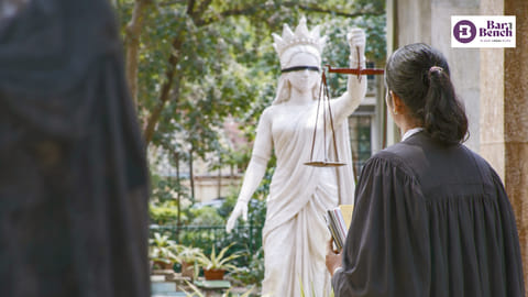 Woman Lawyer (Representation only)