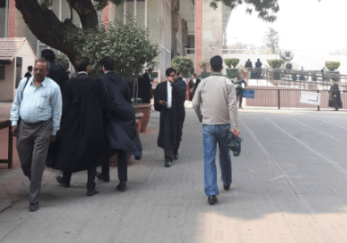 Only 6 lakh out of 15 lakh lawyers have submitted verification forms, BCI to SC