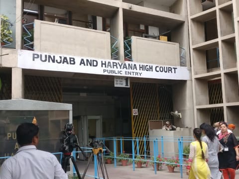 “Court cannot sit as mute spectator”, Punjab and Haryana HC pulls up striking lawyers for obstructing litigant entry