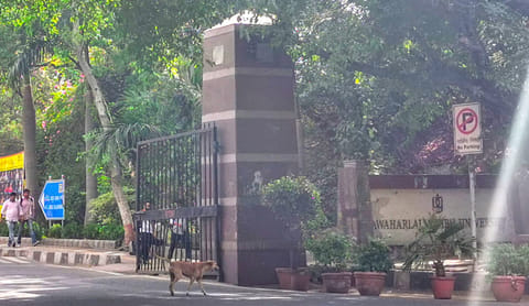 JNU cannot cancel student's candidature because there is no PhD supervisor: Delhi High Court 
