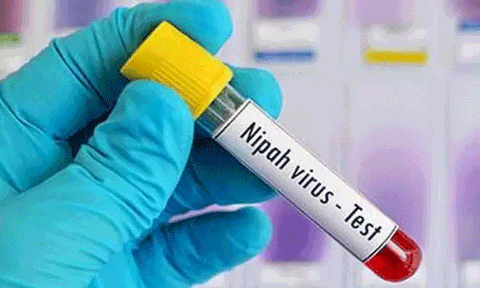 மேற்கு வங்கத்தில் 2 செவிலியர்களுக்கு நிபா வைரஸ் தொற்று உறுதி
