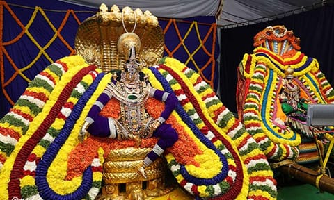 சேஷ வாகன வீதியுலா