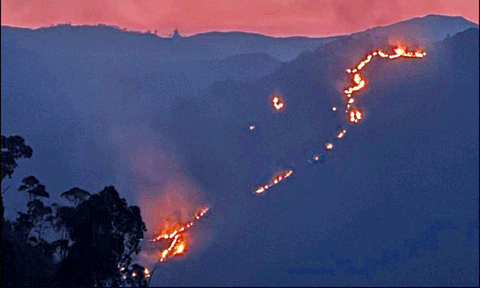 கொடைக்கானல் மலைப்பகுதியில் பயங்கர காட்டுத்தீ
