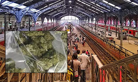 சென்னை எழும்பூர் ரெயில் நிலையத்தில் 19 கிலோ கஞ்சா பறிமுதல்