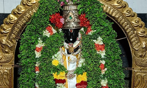 சிறப்பு அலங்காரத்தில் சேங்கல்மலை வரதராஜ பெருமாள்