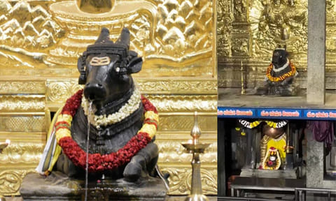 தட்சிணமுக நந்தி தீர்த்த கல்யாணி கோவில்