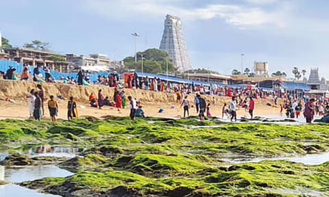 திருச்செந்தூரில் 2-வது நாளாக உள்வாங்கிய கடல்
