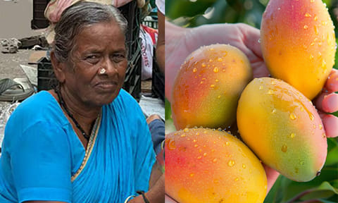 மூதாட்டியிடம் போலி 500 ரூபாய் நோட்டை கொடுத்து மாம்பழம் வாங்கிய பெண் கைது