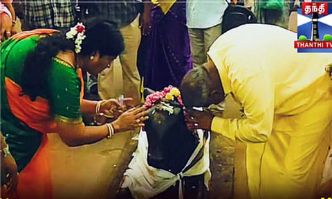 தவெக வெற்றி பெற வேண்டி திருக்கடையூர் அமிர்தகடேஸ்வரர் கோவிலில் என்.ஆனந்த் சாமி தரிசனம்