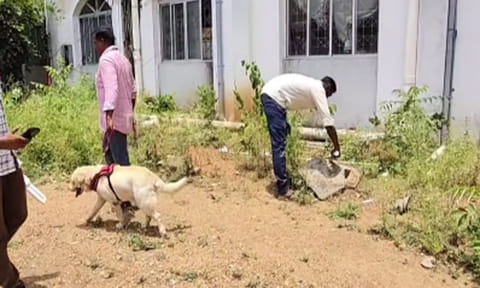 புதுக்கோட்டை கலெக்டர் அலுவலகத்திற்கு வெடிகுண்டு மிரட்டல் - அருகே வாக்கு எண்ணும் மையம் உள்ளதால் பரபரப்பு 