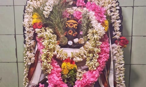 நாகாபரண விநாயகர்