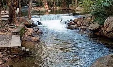 களக்காடு தலையணைக்கு சுற்றுலா பயணிகள் செல்ல தடை
