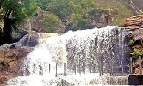 திருப்பூர்: பஞ்சலிங்க அருவியில் நீர்வரத்து அதிகரிப்பு - சுற்றுலாப்பயணிகள் குளிக்க தடை