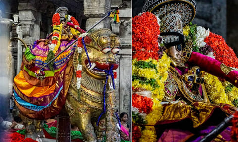சிம்ம வாகனத்தில் எழுந்தருளிய ஸ்ரீநம்பெருமாள்