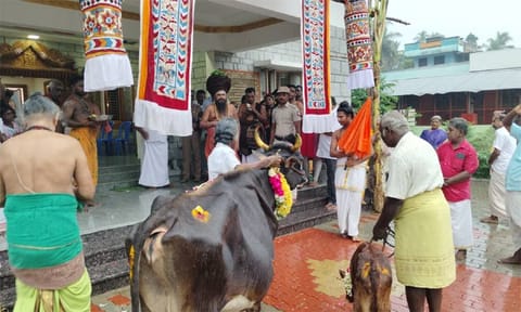 வைகாசி மாத பிறப்பு... சீர்காழி சட்டை நாதர் கோவிலில் கோ பூஜை 