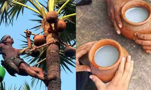 ஐதராபாத்தில் நட்சத்திர ஓட்டல்களில் ‘கள்’ விற்க திட்டம் - தெலுங்கானா அமைச்சர் தகவல்