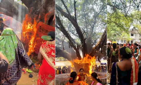 தீப்பிடித்து எரிந்த ஆல மரம்