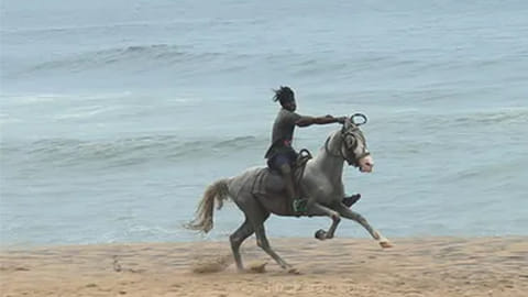 கிளாண்டர்ஸ் தொற்று: தமிழ்நாடு முழுவதும் குதிரை சவாரிக்கு கட்டுப்பாடு
