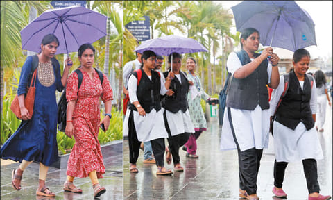 தமிழகத்தின் 11 மாவட்டங்களில் இன்று கனமழை பெய்யக்கூடும் - வானிலை ஆய்வு மையம் 
