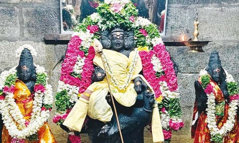 நன்செய் இடையாறு கோவிலில், சிறப்பு அலங்காரத்தில் வள்ளி-தெய்வானை சமேத சுப்பிரமணியர்