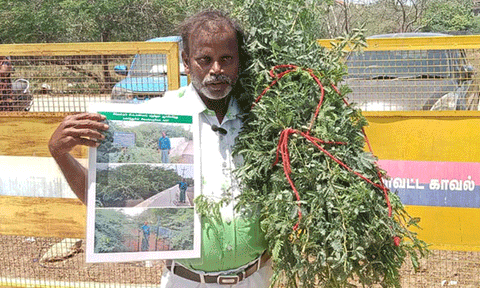 சி.வ.குளத்தை சூழ்ந்த சீமைக்கருவேல மரங்களை அகற்ற கோரிக்கை: தூத்துக்குடி கலெக்டரிடம் சமூக ஆர்வலர் மனு