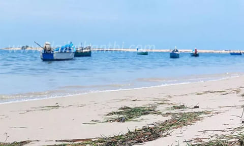 லெமூர் கடற்கரையில் ராட்சத அலையில் சிக்கி போராடிய சிறுவன்-சிறுமி தீயணைப்பு வீரர்கள் உயிருடன் மீட்பு