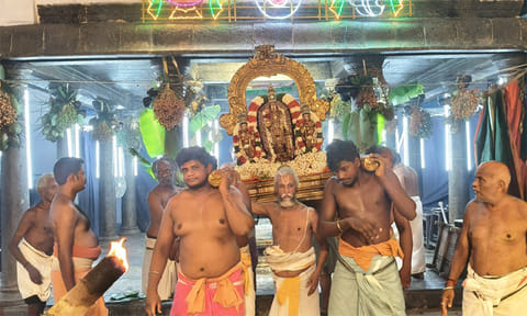 பங்களா தோப்பு வசந்த மண்டபத்தில் எழுந்தருளிய வீரராகவ பெருமாள்
