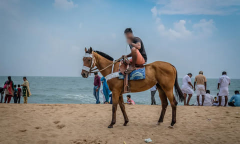 சென்னை மெரினாவில் சிறுமியிடம் பாலியல் அத்துமீறல்: குதிரை ஓட்டி கைது