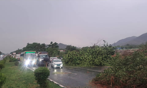 கனமழை: தேசிய நெடுஞ்சாலையில் முறிந்து விழுந்த அரசமரம் - ஆம்பூர் அருகே போக்குவரத்து பாதிப்பு