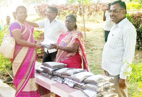 மக்கும் குப்பையில் தயாரிக்கப்பட்ட உரங்கள்