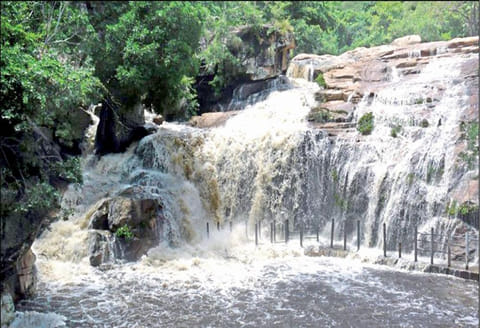 மேற்கு தொடர்ச்சி மலையில் கனமழை: பஞ்சலிங்க அருவியில் வெள்ளப்பெருக்கு