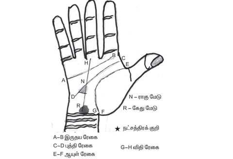 கைரேகை அற்புதங்கள் : பிறரை எடைபோடும் திறன்