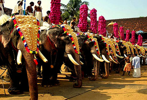 கோவில் திருவிழாவில் மதம் பிடித்த யானை கல்லை தூக்கி வீசியதில் பாகன் பலி
