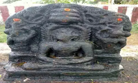 10-ம் நூற்றாண்டு மகாவீரர் சிலை கண்டெடுப்பு