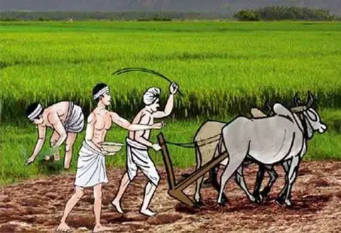 விவசாயிகளுக்கு மானியம்