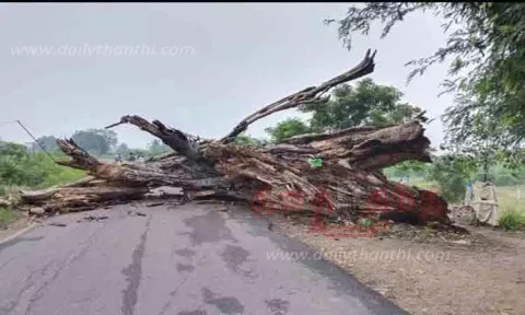 ஆலமரம் விழுந்ததால் போக்குவரத்து பாதிப்பு