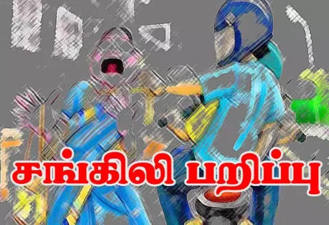 வேப்பூர் அருகே பட்டப்பகலில் பெண்ணிடம் நகை பறிப்பு போலீஸ் விசாரணை