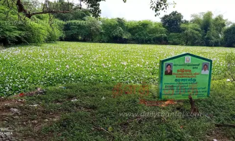 குளத்தில் புதர் மண்டி கிடக்கும் ஆகாயத்தாமரை செடிகள் அகற்றப்படுமா?