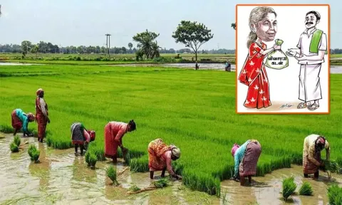 மத்திய பட்ஜெட்: ஒரே ஆண்டில் விவசாயிகளுக்கு ரூ.20 லட்சம் கோடி கடன்