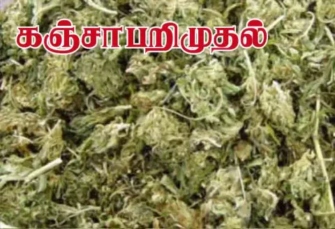கஞ்சா விற்ற 4 வாலிபர்கள் கைது