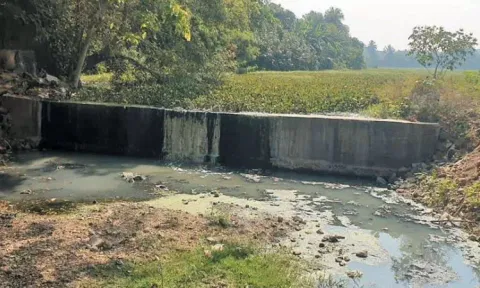 குரோம்பேட்டையில் ஆகாயத்தாமரை செடிகளால் அழிந்து வரும் வீரராகவன் ஏரி