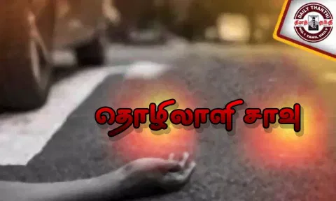 பாலத்தின் அடியில் படுத்து தூங்கியபோது லாரி சக்கரத்தில் சிக்கி தொழிலாளி சாவு