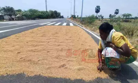 நெல்லுக்கு விலை கிடைத்தும் விளைச்சல் இல்லாததால் விவசாயிகள் ஏமாற்றம்