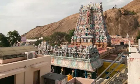திருப்பரங்குன்றம் முருகன் கோவிலில் பங்குனி பெருவிழா வரும் 26-ந்தேதி கொடியேற்றத்துடன் தொடங்குகிறது